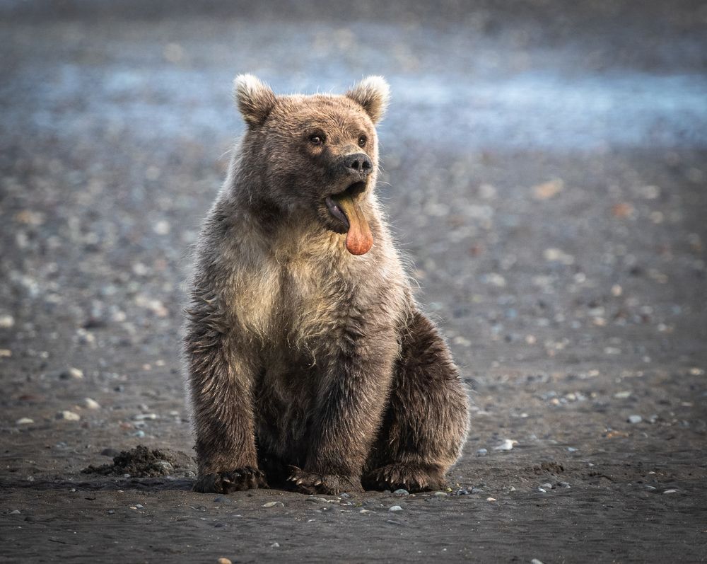 Photograph by Александр Лозицкий