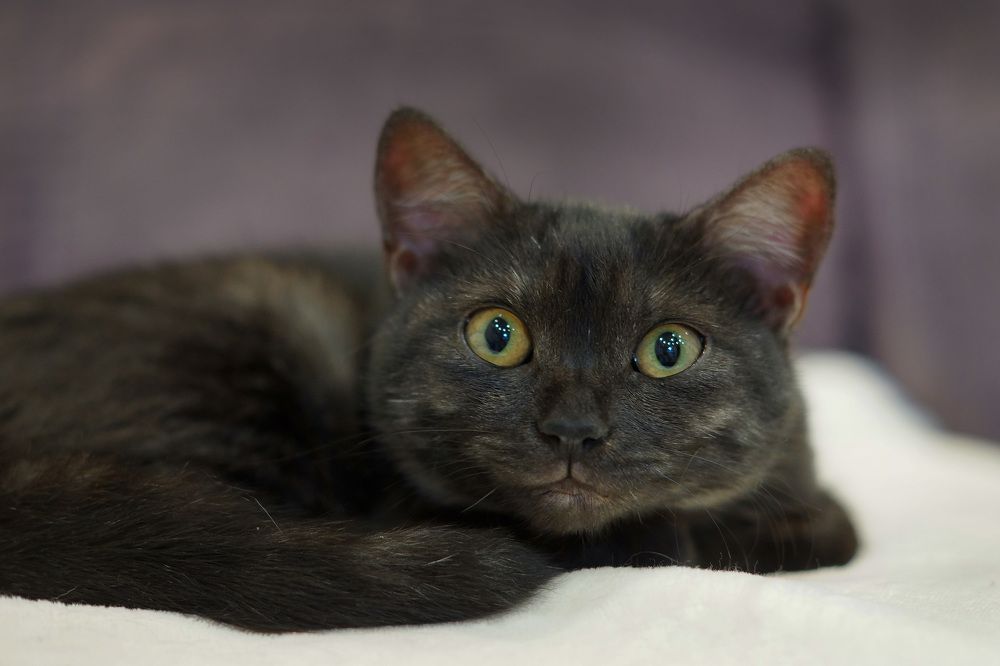 Photograph by Олег Чубайкин