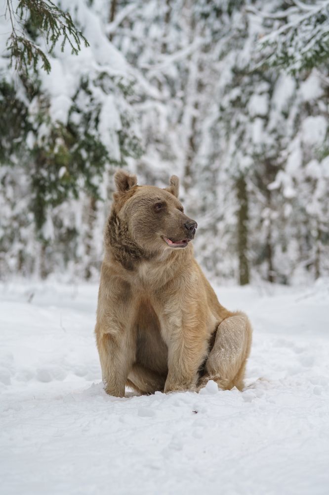 Photograph by Наталья Сидорова