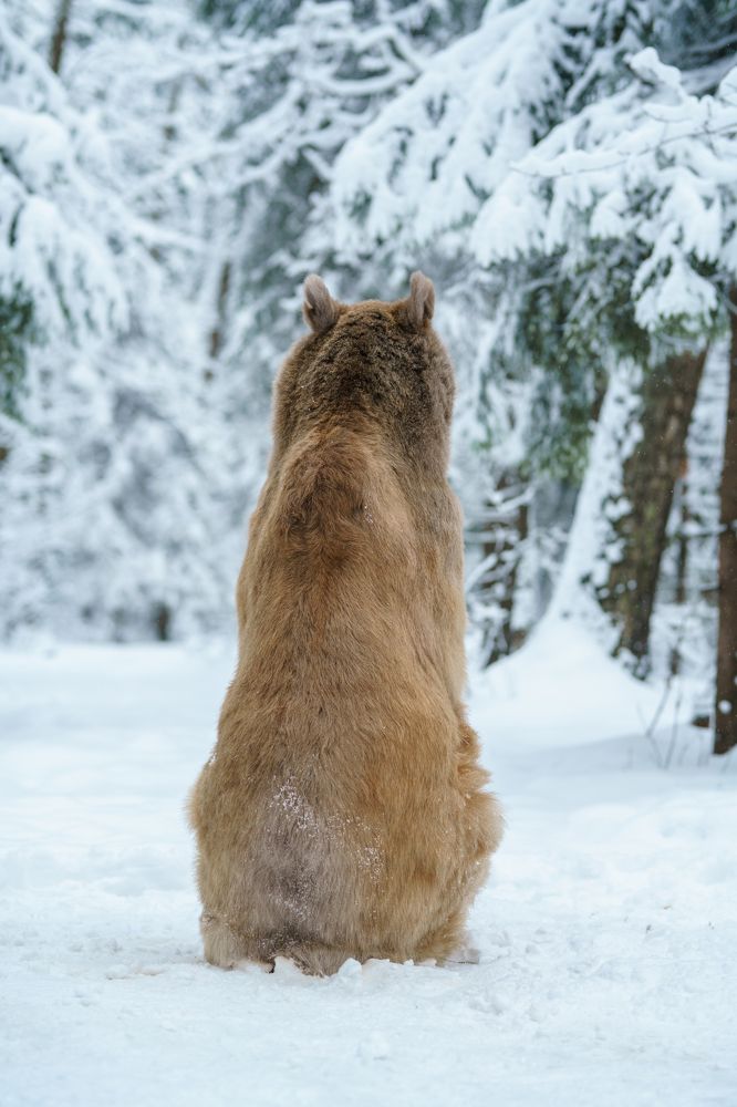 Photograph by Наталья Сидорова