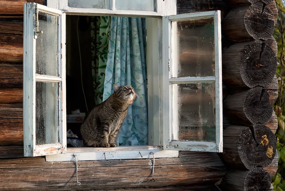 Photograph by Владимир Архипов