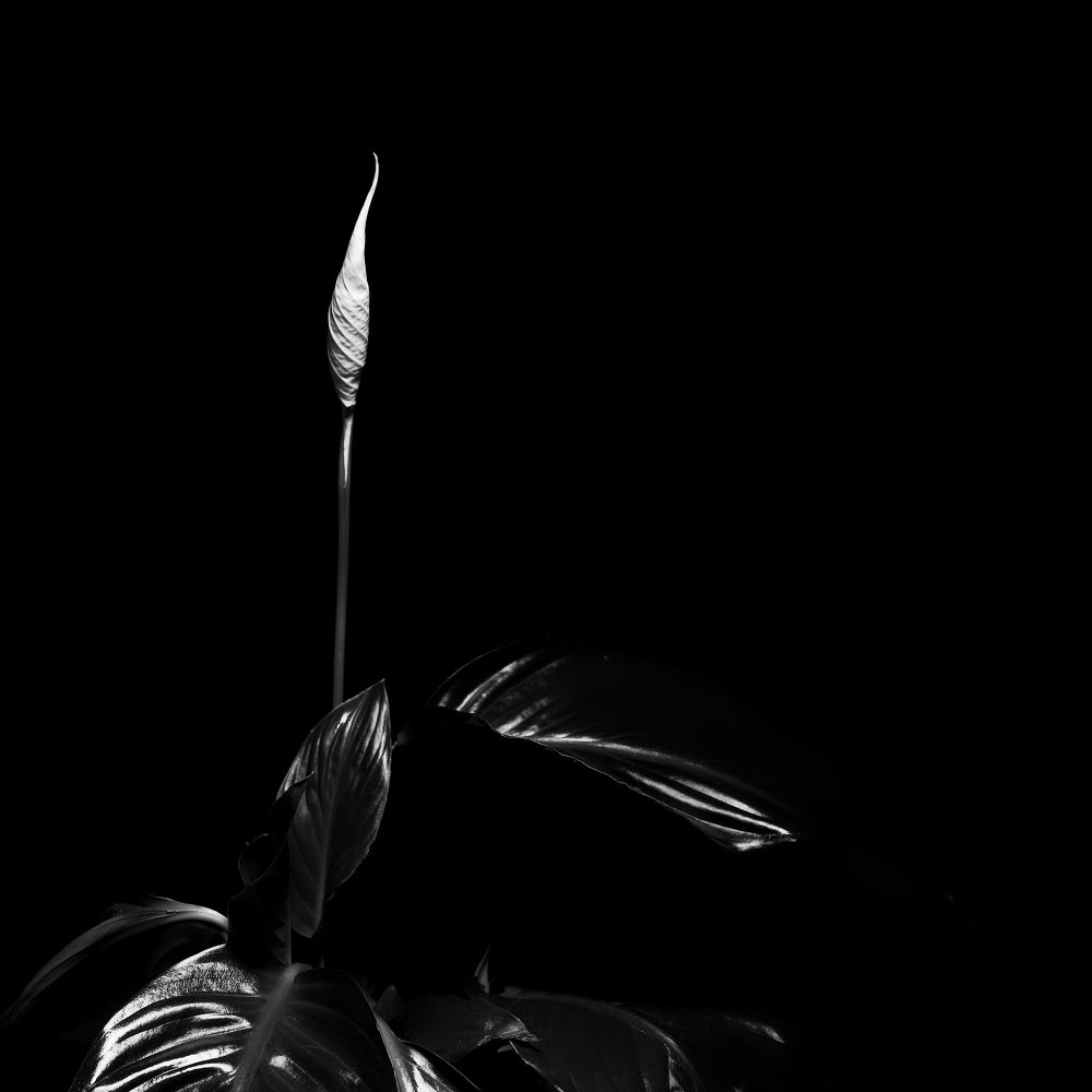 Photograph by Aleksei Degtjarjov