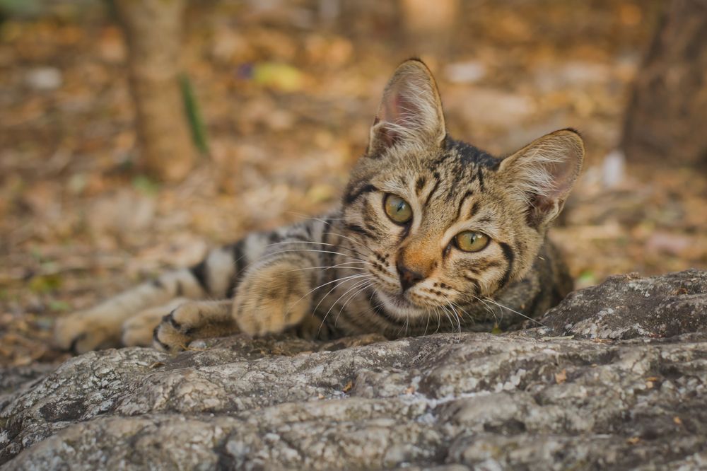 Photograph by Ирина