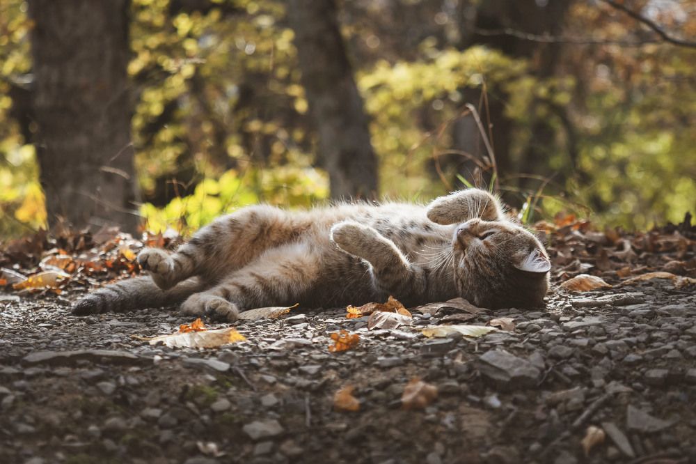 Photograph by Ольга Католичук