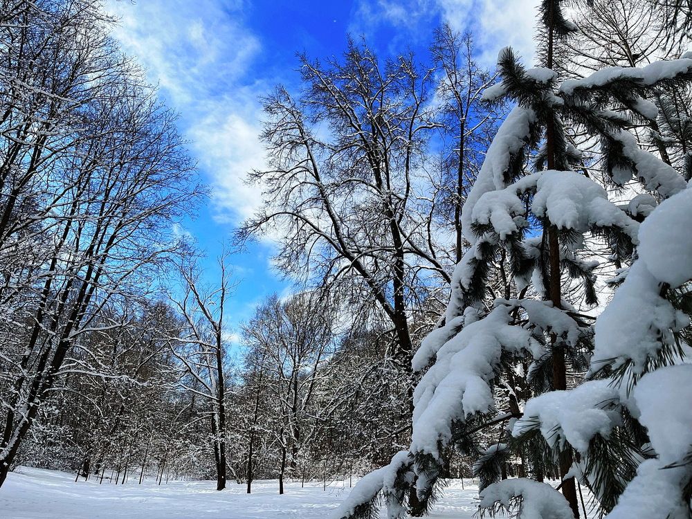 Зимушка...Зима...!!!