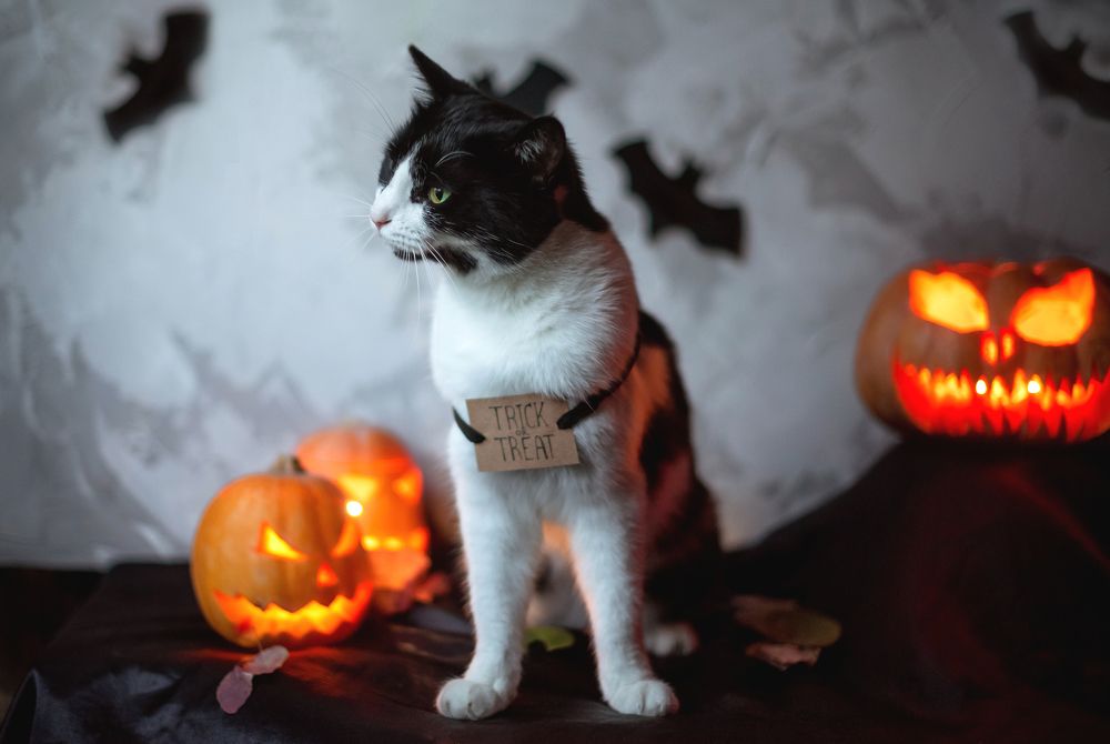 Photograph by Богатырева Ксения