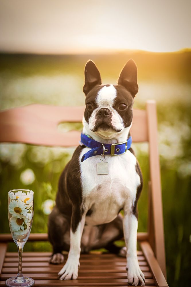 Photograph by Юлия Калугина