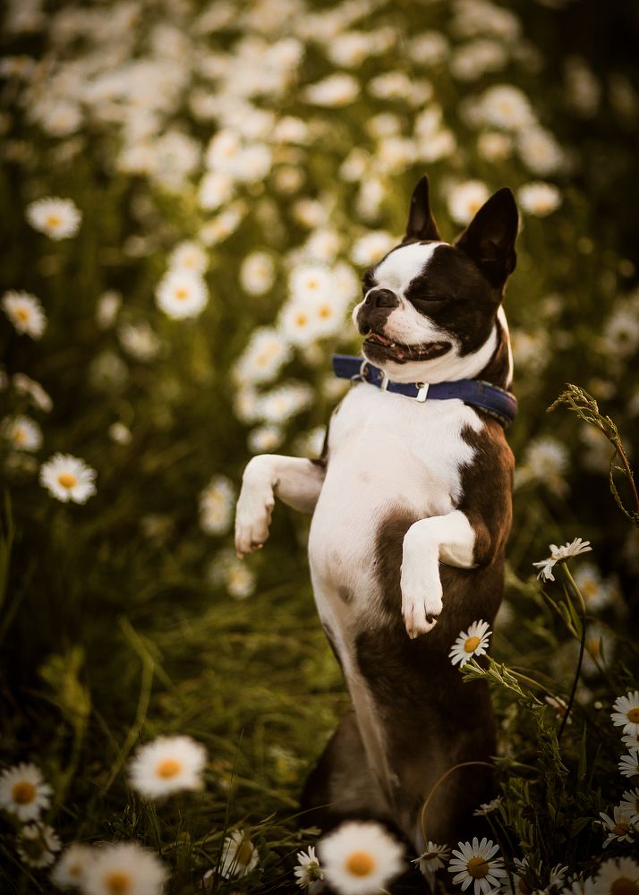 Photograph by Юлия Калугина