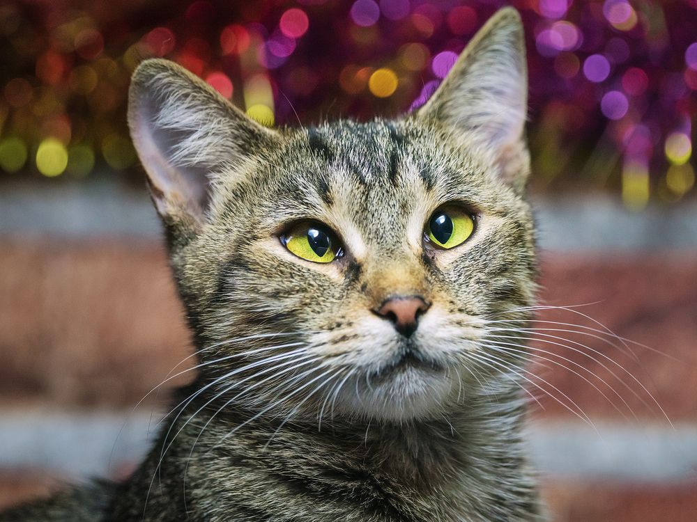 Photograph by Олег Милеев (Каминцев)