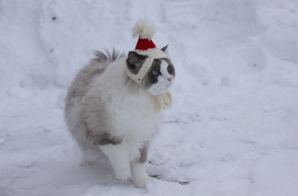 Photograph by Агнес