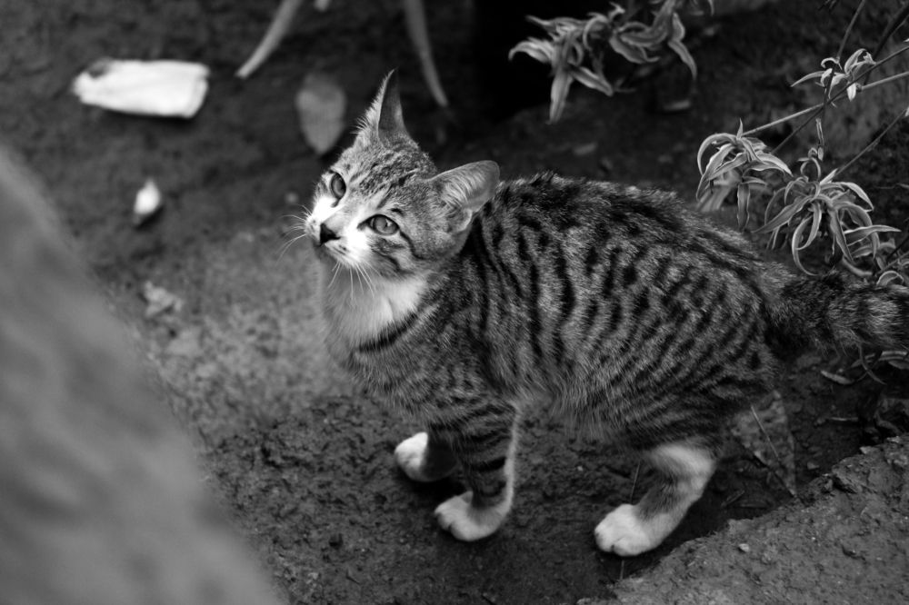 Photograph by Hasti Esteki