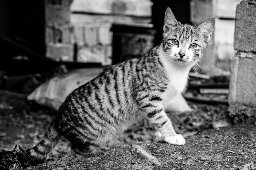 Photograph by Hasti Esteki