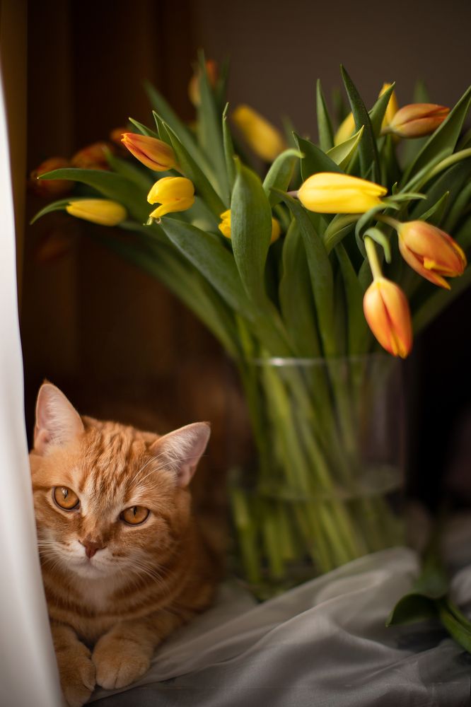 Photograph by Полина Коткина