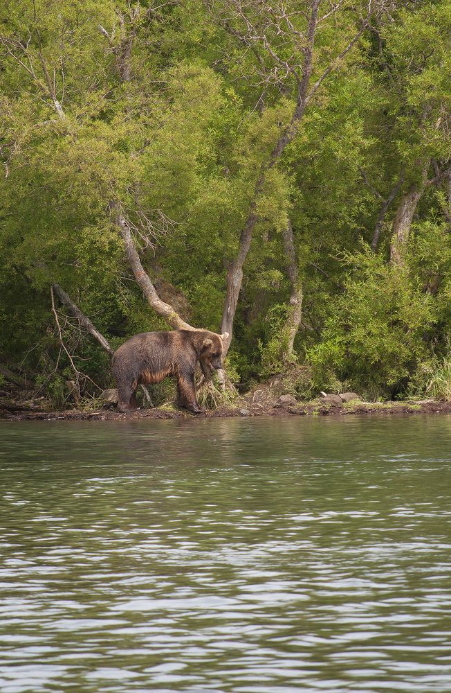 Photograph by Серебренников Михаил