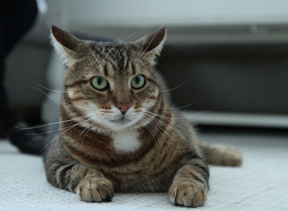 Photograph by Агнес