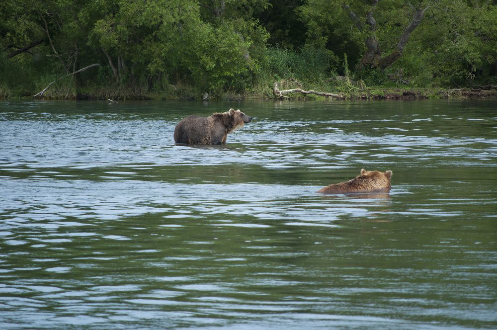 Photograph by Серебренников Михаил