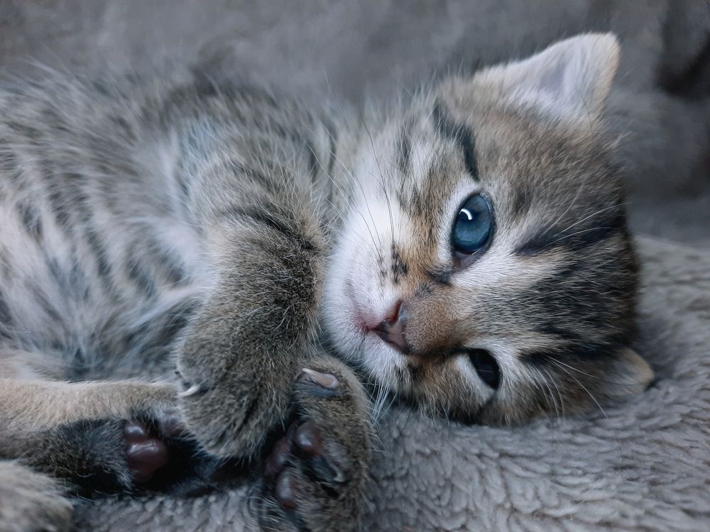 Photograph by Эльза Калюшева