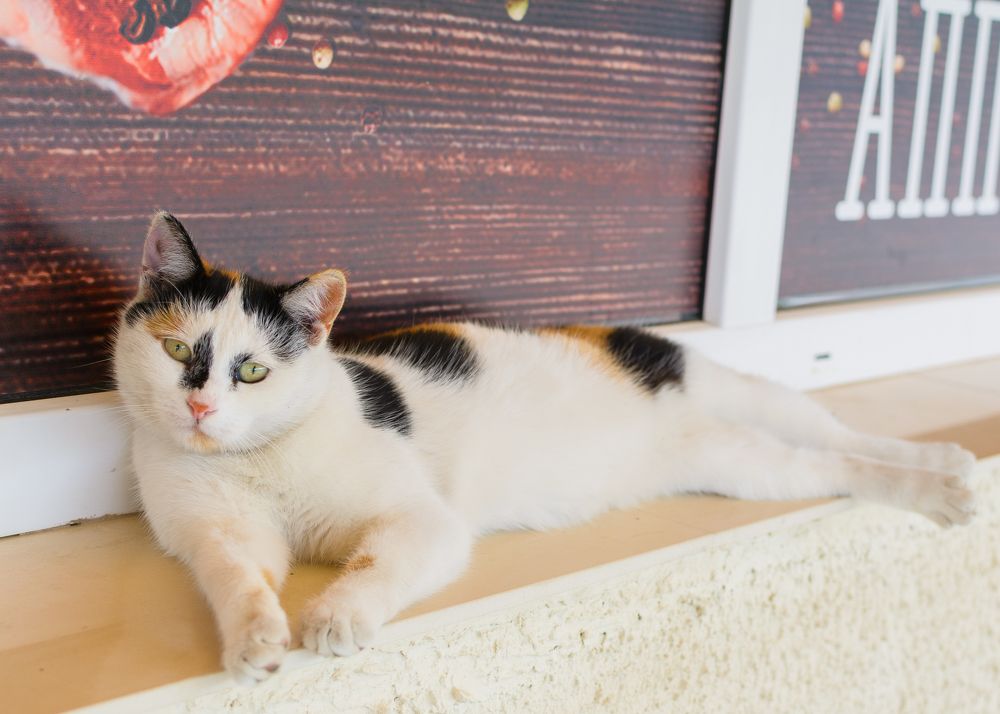 Photograph by Сергей Дишук