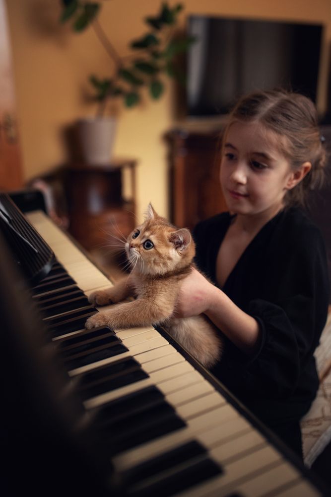 Фотография автора Альбина Загрудная