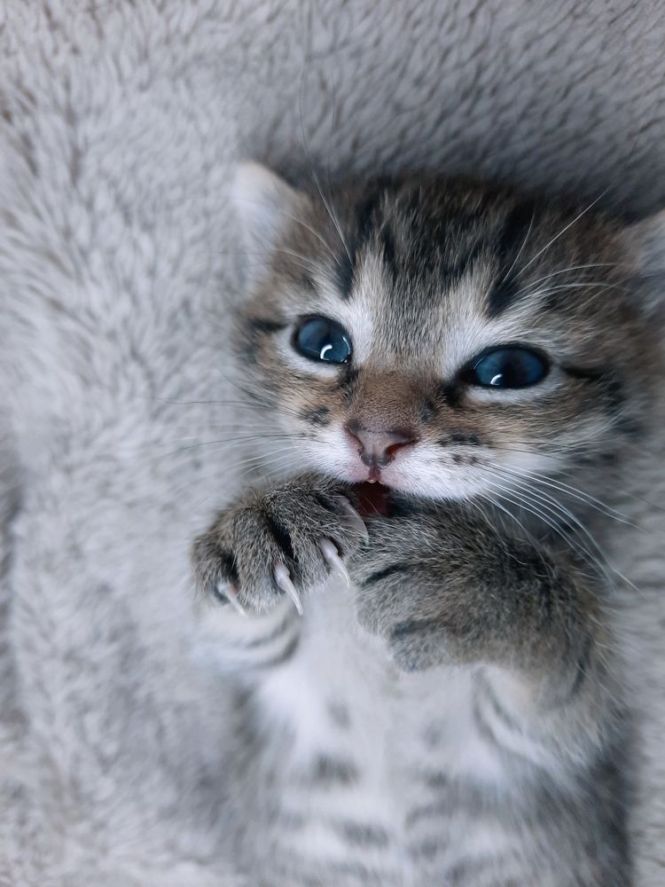 Photograph by Эльза Калюшева