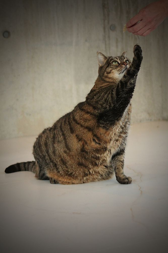 Photograph by Диана Ульянцева