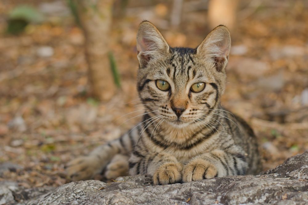 Photograph by Ирина