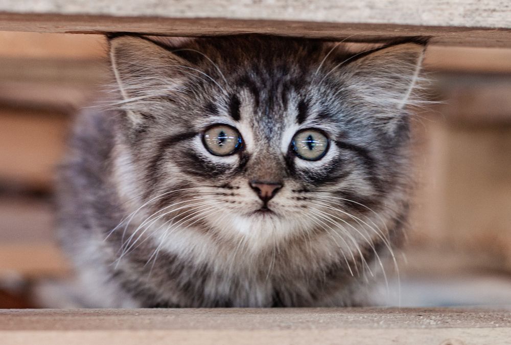 Photograph by Ольга Левакова