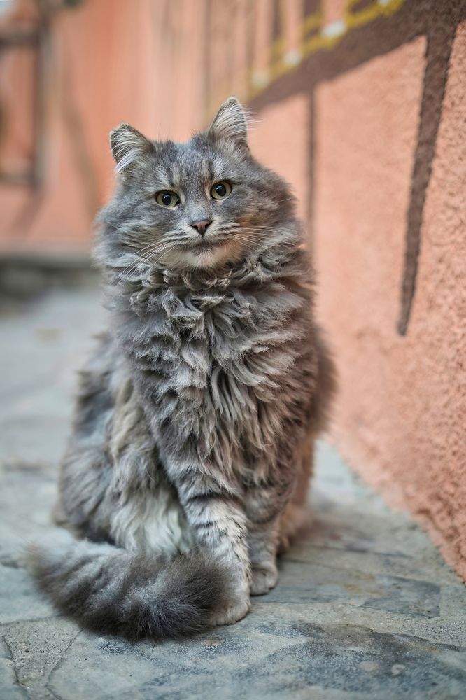 Photograph by Дудников Александр