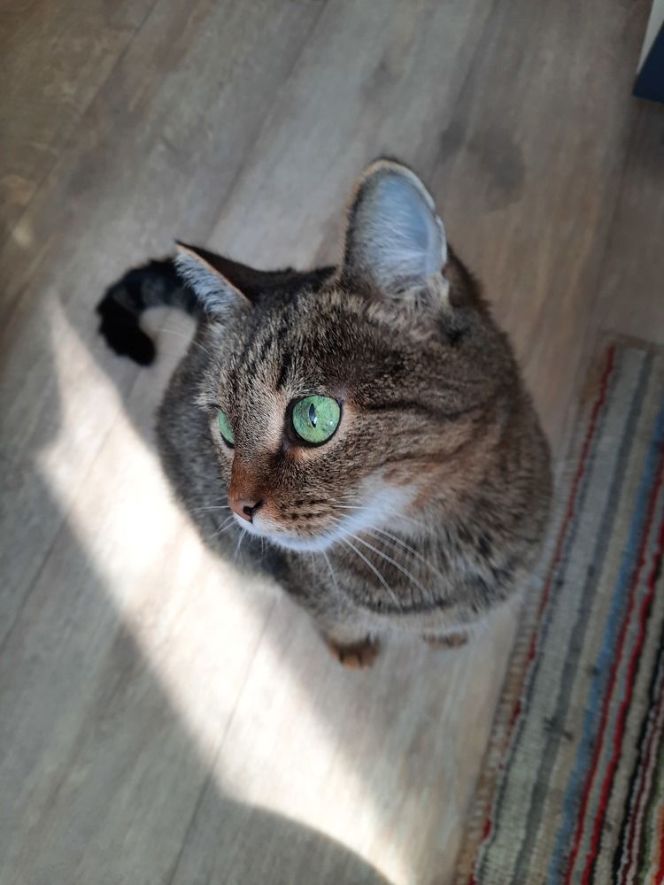 Photograph by Эльза Калюшева