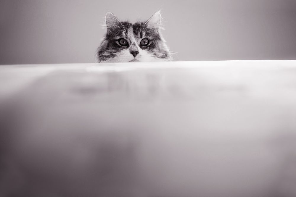 Photograph by Вербицкий Петр