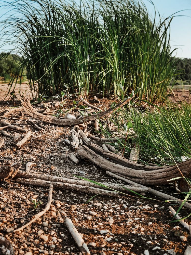 Photograph by Ольга