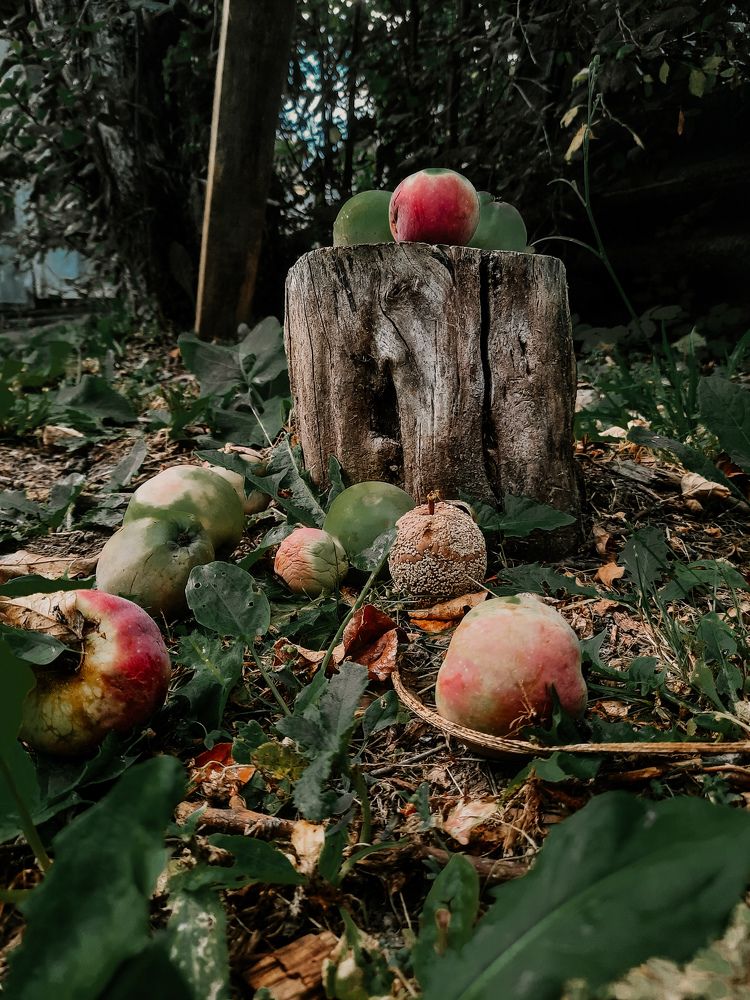 Photograph by Ольга