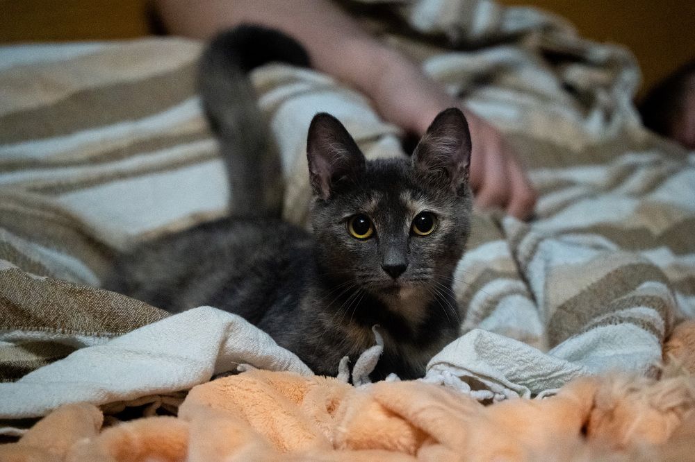 Photograph by Екатерина Афанасьева