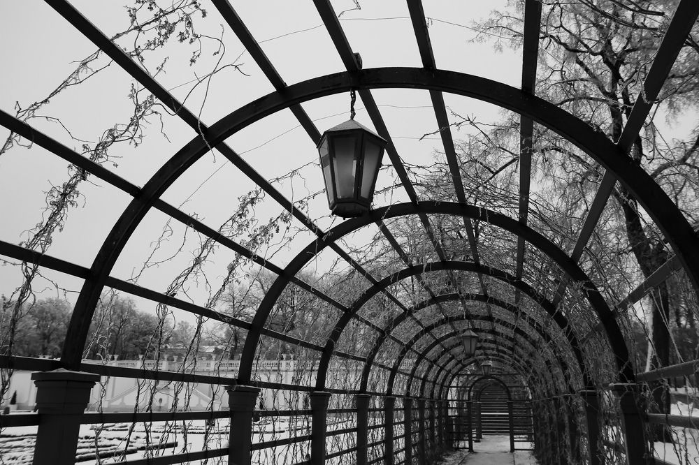 Photograph by Агнес