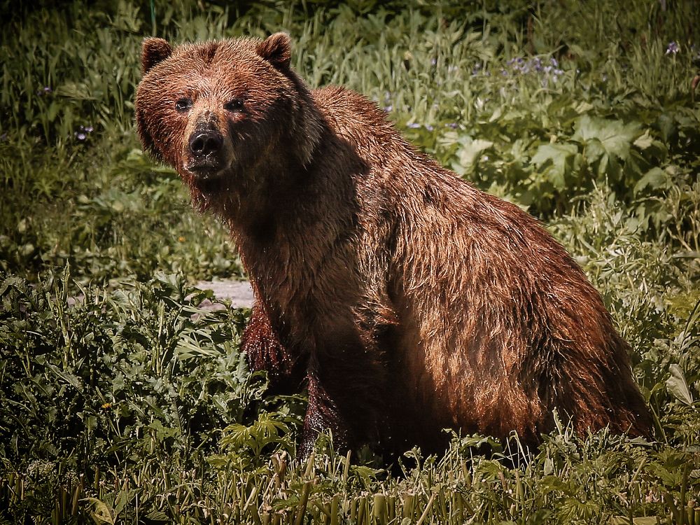 Photograph by Юлия Калугина