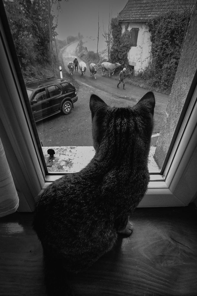 Фотография автора Anna Borisneva Labelle