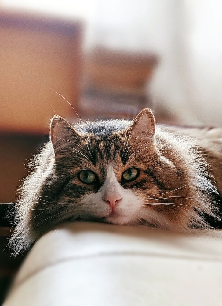 Photograph by Герасимова Анастасия