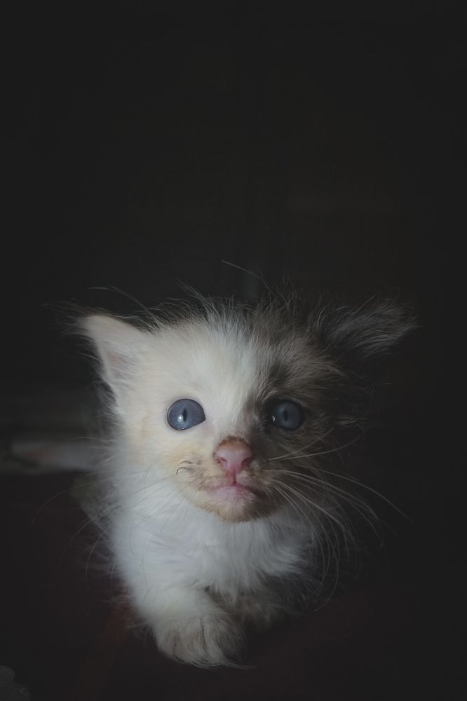 Photograph by SD BAKTI