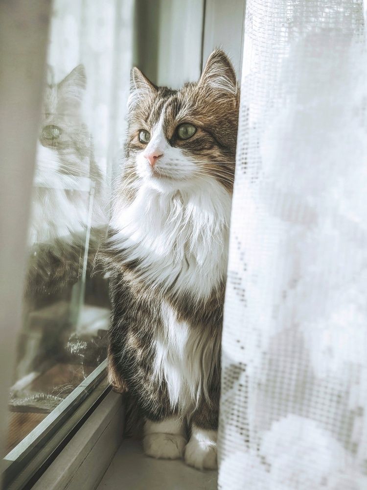 Photograph by Герасимова Анастасия