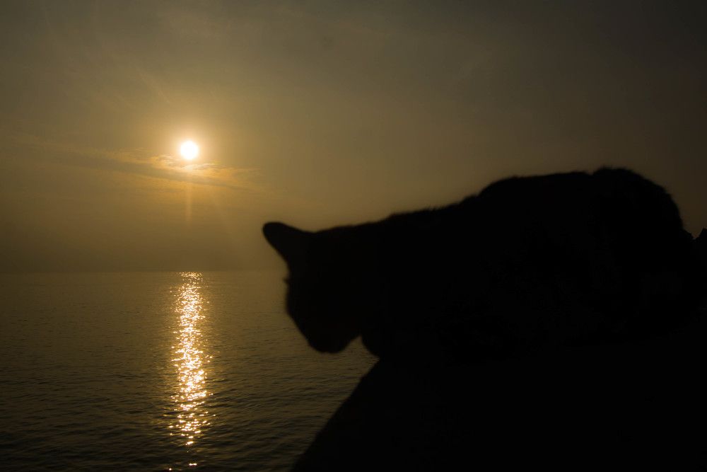 Photograph by mansour Hamdaoui