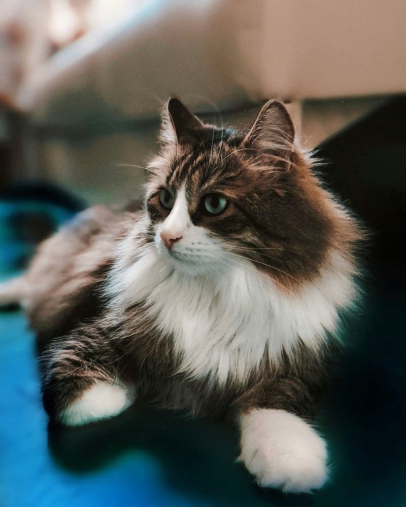 Photograph by Герасимова Анастасия