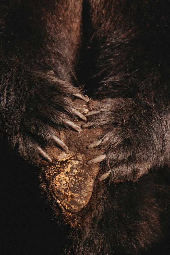 Photograph by Даниил Попков