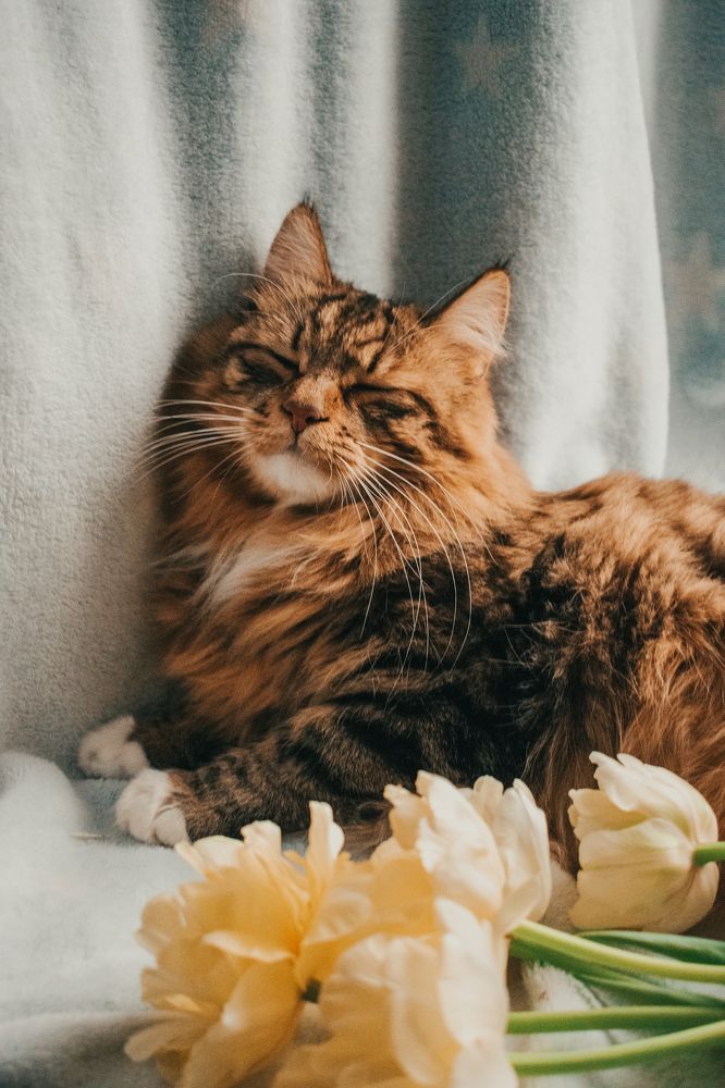 Photograph by Галина Ноздрина