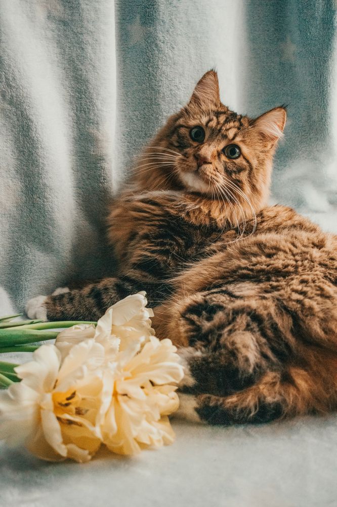 Photograph by Галина Ноздрина