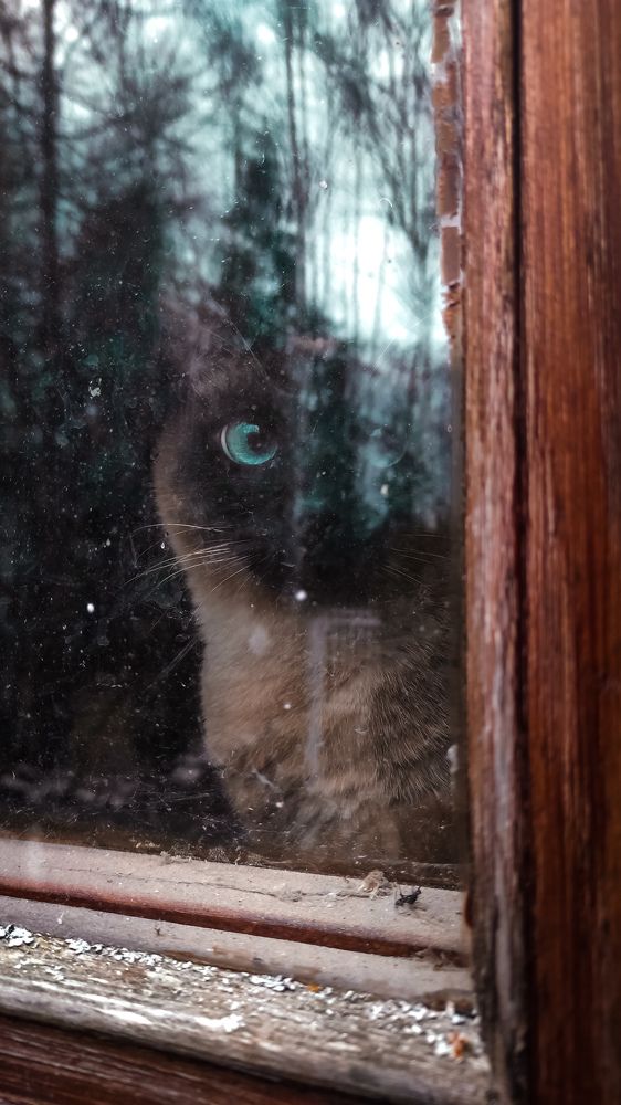 Photograph by Ксения Иванова