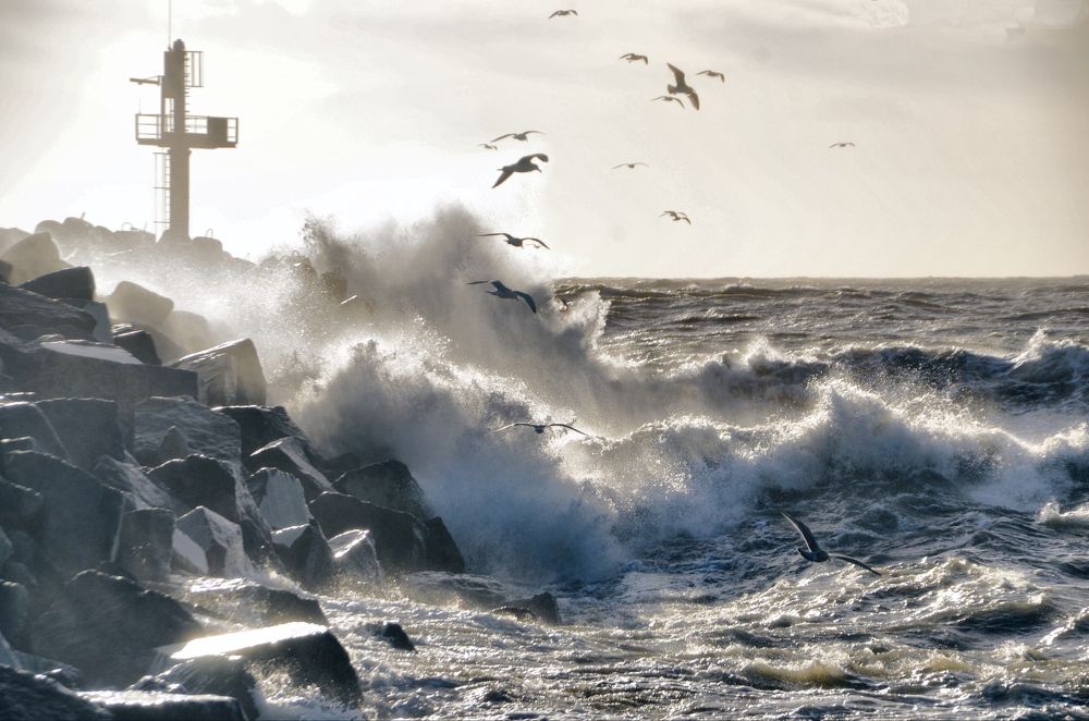 Photograph by Galina Baranovskaja