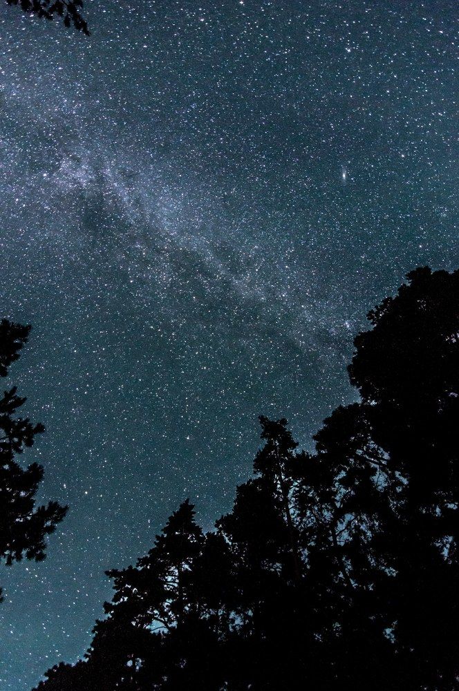 Photograph by Артём Амельянчик