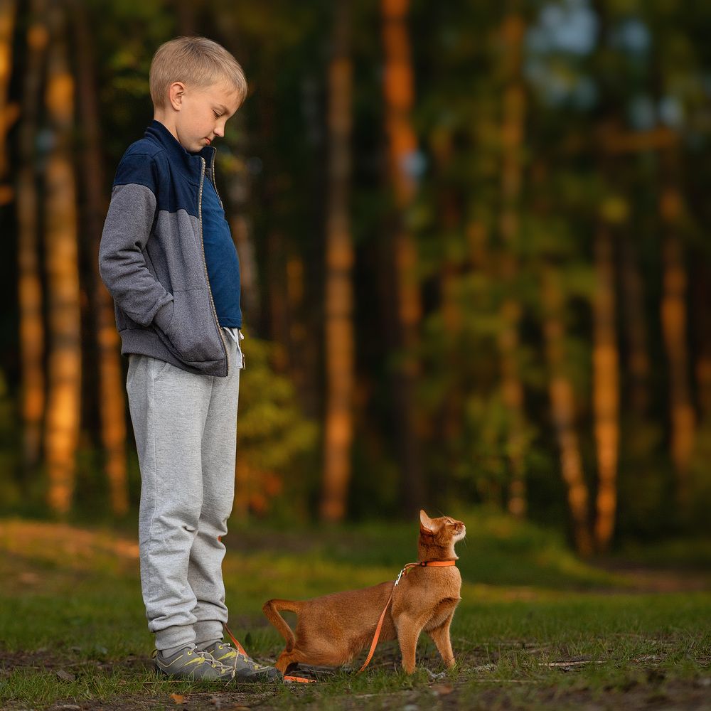 Photograph by Елена Михайлова