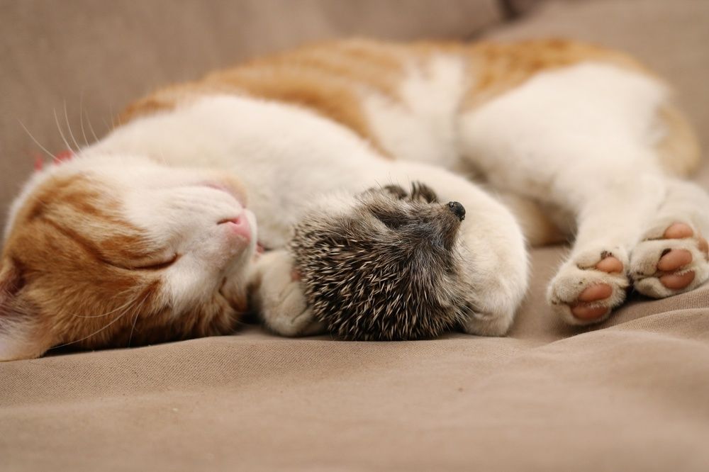 Photograph by Nurlan Tahirli