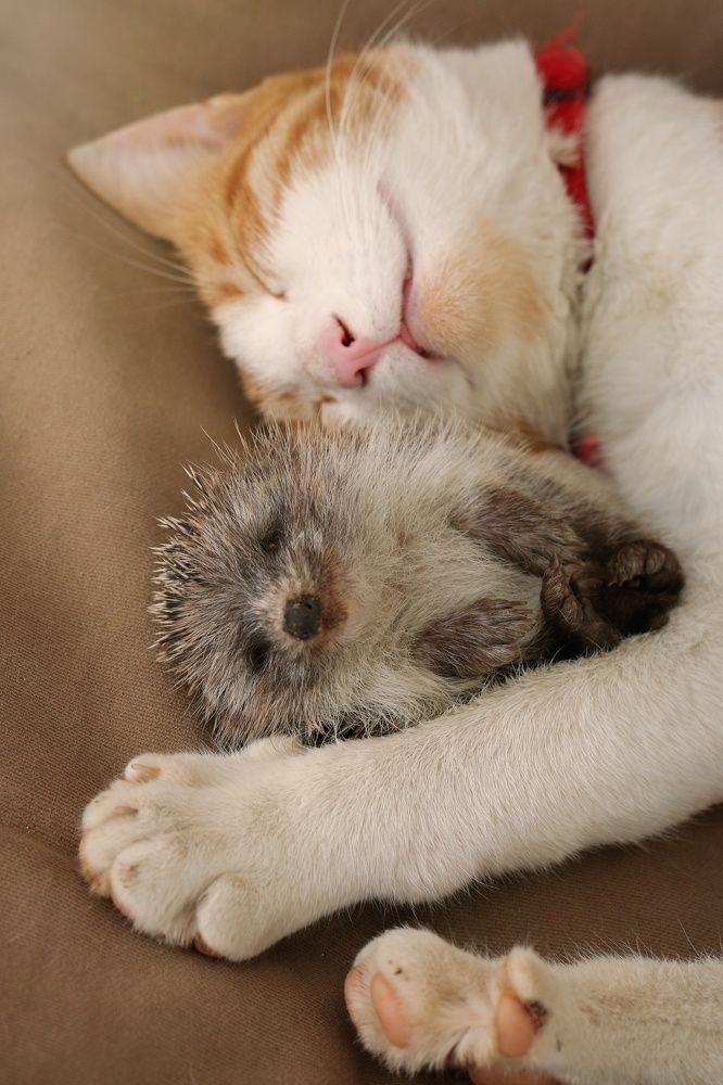 Photograph by Nurlan Tahirli